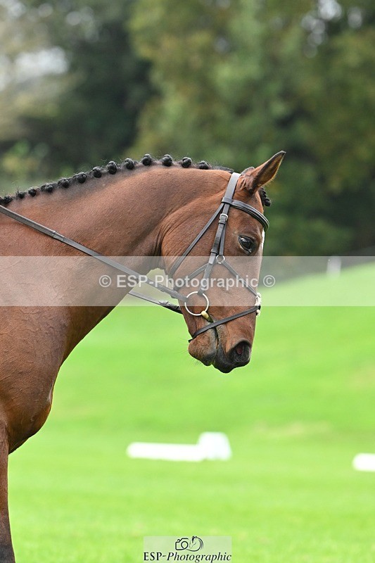 241024-101446-02959 - 408-Belinda.Payne-PENOLVA.HIGH.HOPES