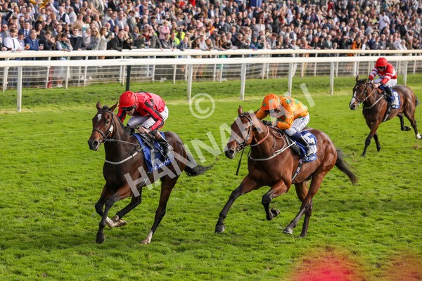 141023-Race 4-Colorada Dancer-0470 - Race 4 3.05pm Coral Racing Club EBF Maiden Stakes