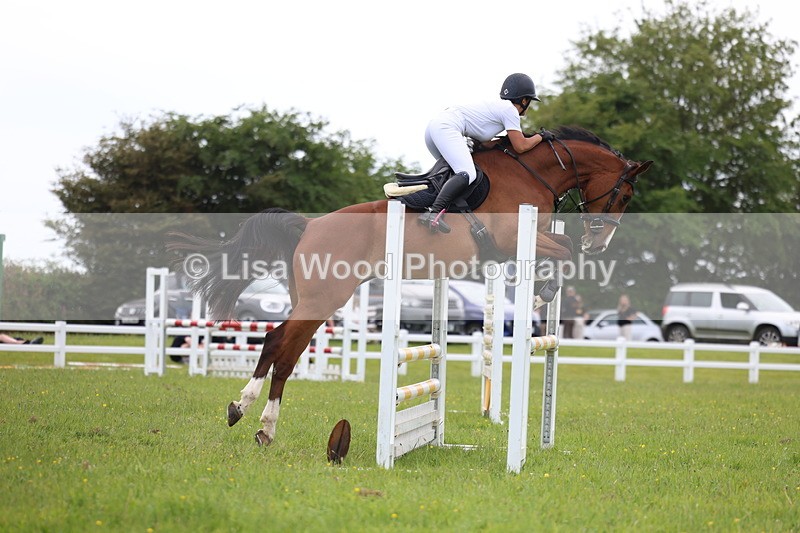 3E7A1788 - Class 13: Senior British Novice/90cm open