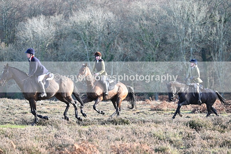 WJ7_7938 - Line 3 (no line 4 or 5)