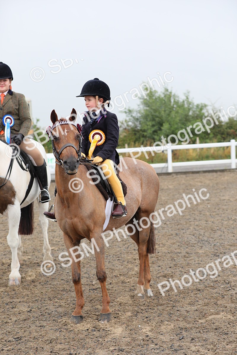 SBM_20644 - Class 804 - Ridden Veteran Pony