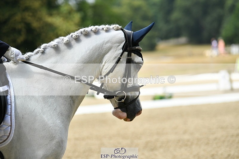 250718A-120612-01328 - 062-Emma.Lomas-Hillgarth.Bombay.Saphire