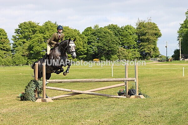 IMG_4843 - Working Hunter