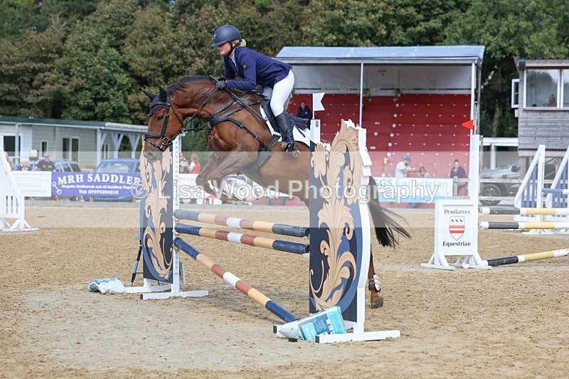 3E7A9333 - Class 9: Senior British Novice/90cm open