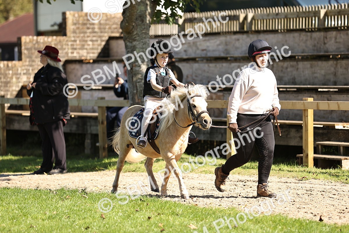 SBM_19222 - S3 - TSR Ridden Pony Showing