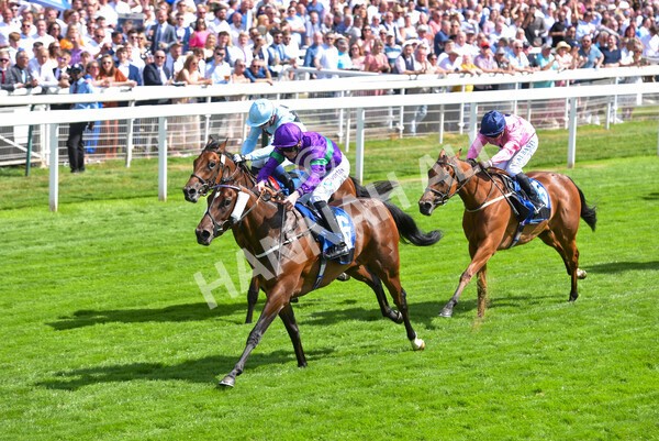 yr09072022r4-36 - Race 4 3.30pm John Smith's Nursery Stakes