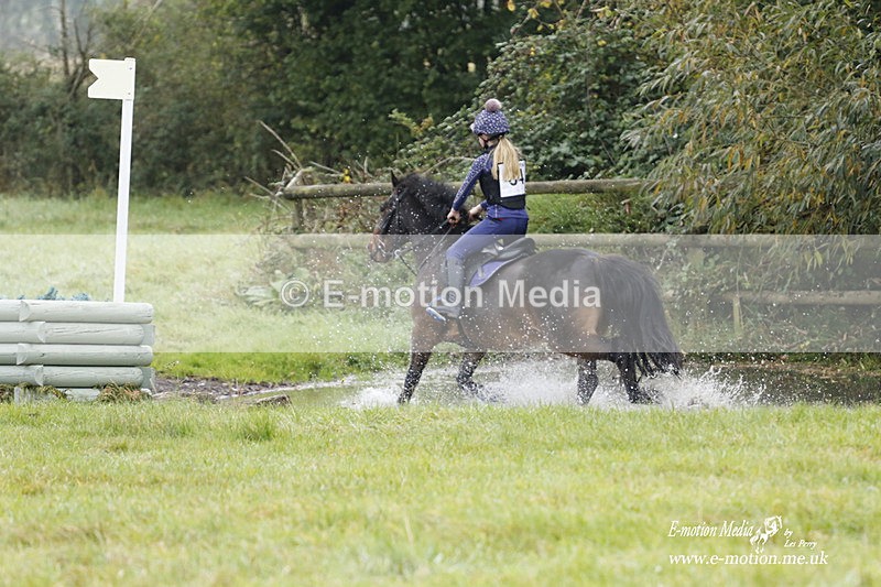  WWHT 171021 0979 - Open Novice (0.80m)  17/10/21