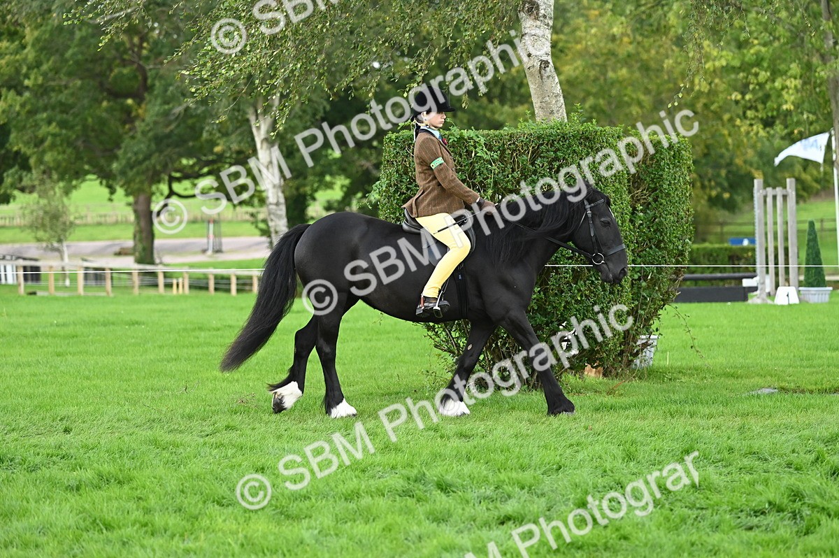 SBM_26551 - S7 - Novice & Newcomer Ridden Pony