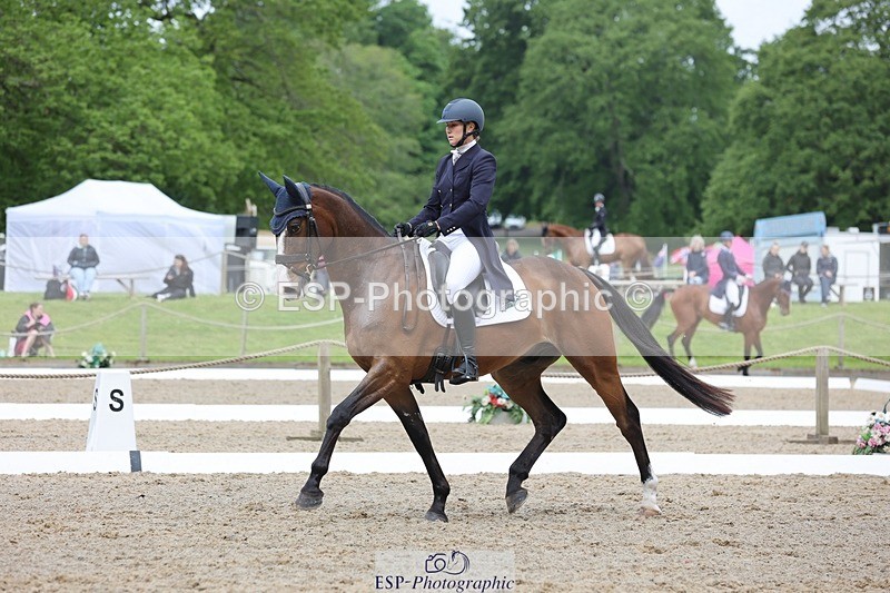 240523-104147-03375 - 214-DSH_GOLDEN_EYE-Lucinda_Mesquita