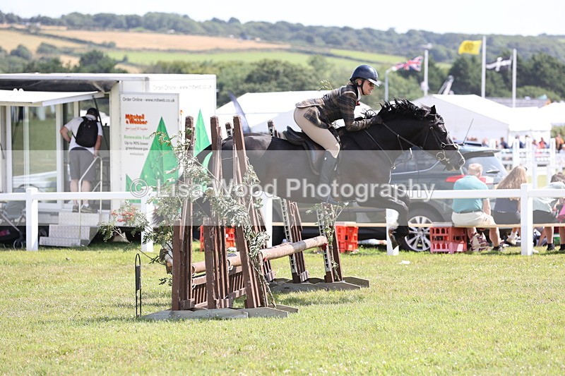 JPP_2230 - Class 19: Working Hunter 60cm