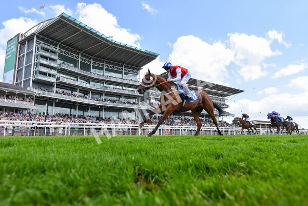 yr10062022r2-28 - Race 2 2.30pm SKF Rous Selling Stakes