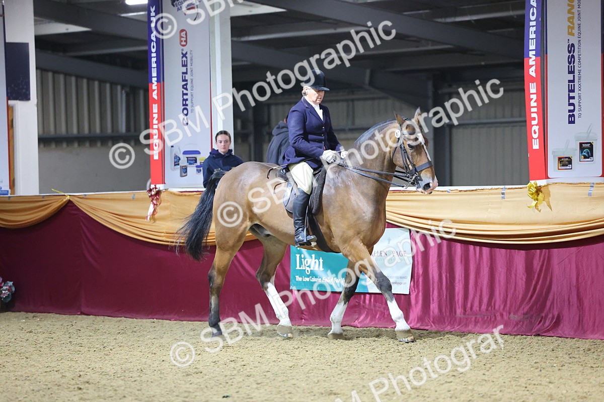 0B8A4479 - Class O Ridden Show Horse Champ