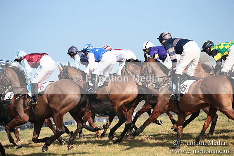 PtP 230219 77 - Vine & Craven Point-To-Point - Barbury 23/02/19
