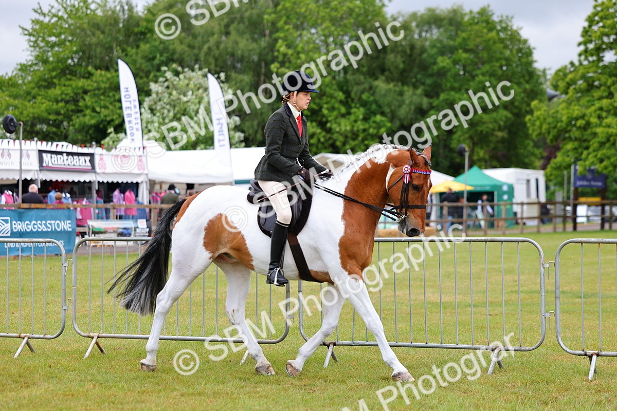 SBM_02474 - Class 9-11 Side Saddle including LIHS Rising Star Ladies Show Horse