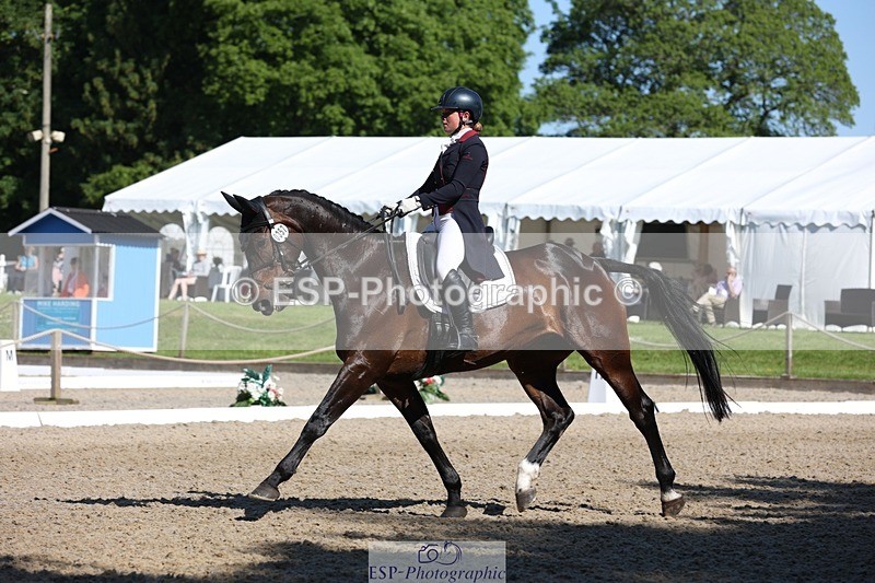 230526-094128-05135 - 357-VIVENDI_HERO-Saffron_Cresswell-WEDTrotUp+DR