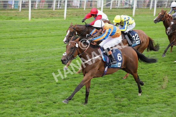 yr18082022r7-24 - Race 7 5.20pm British Stallion Studs EBF Fillies' Stakes