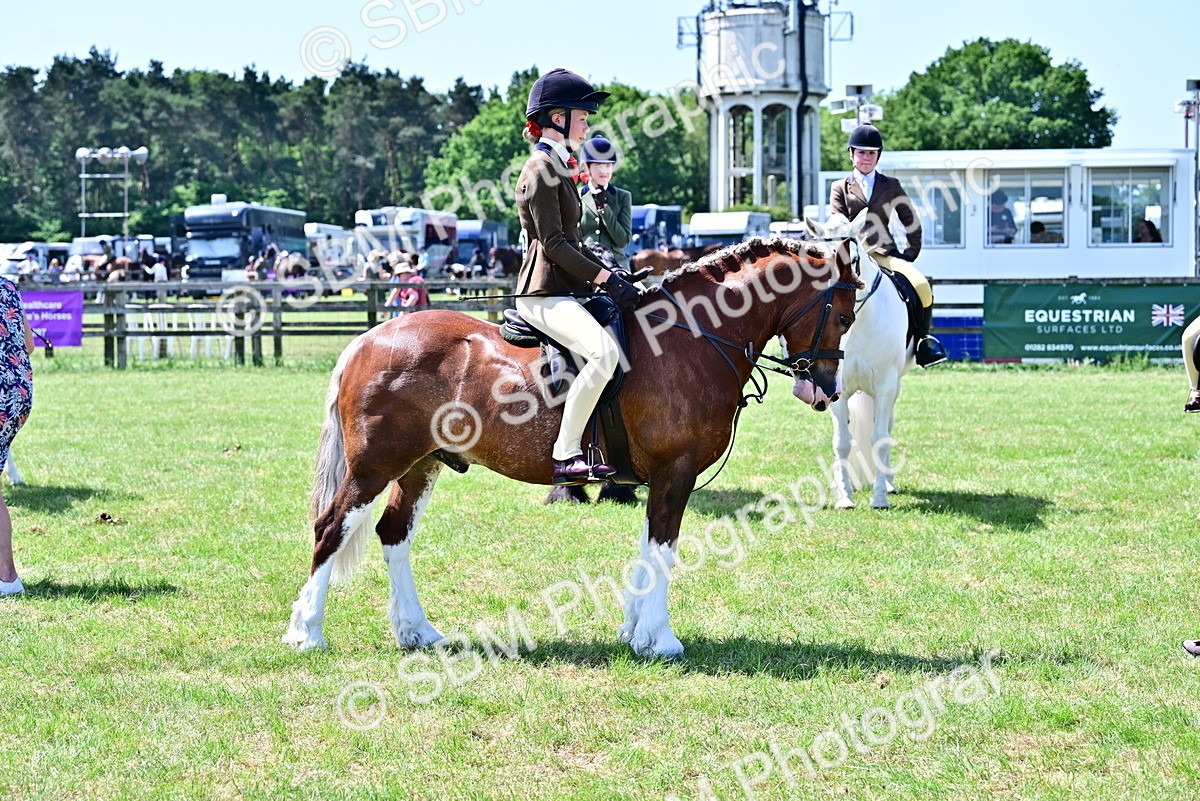SBM_15288 - Class 95-97 - BSPS LHS Performance Ponies