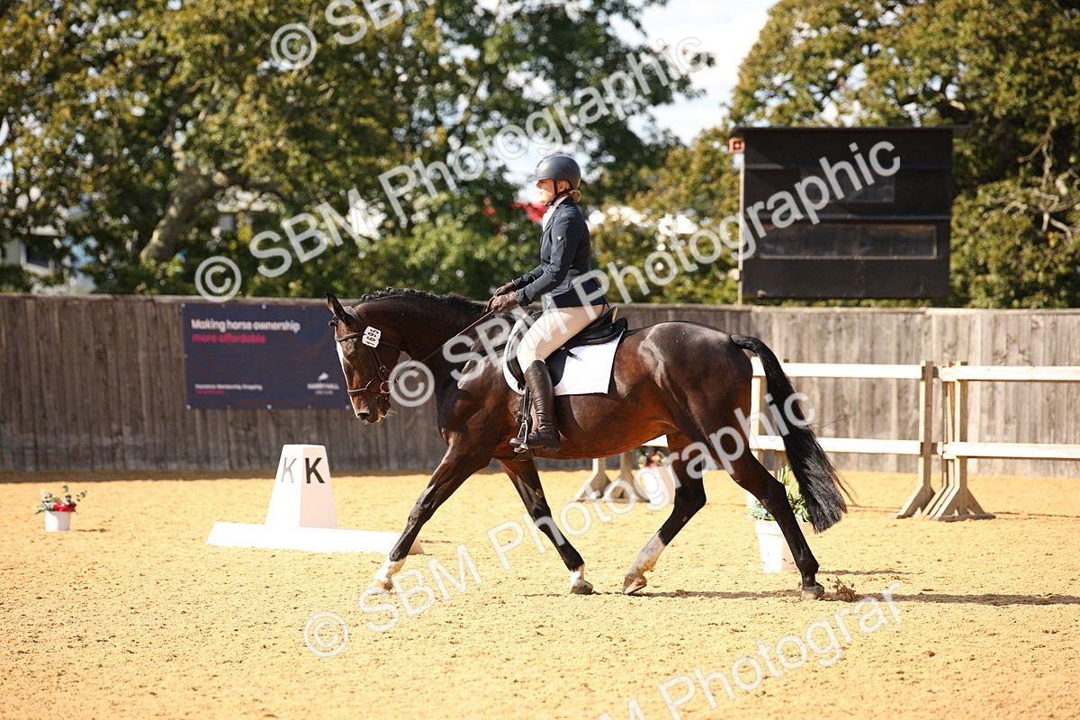 SBM_28113 - D11 - Small Tour Championship - Prelim 13