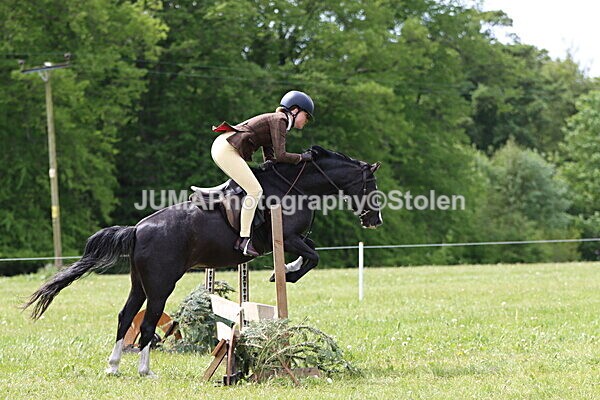 IMG_3221 - Working Hunter
