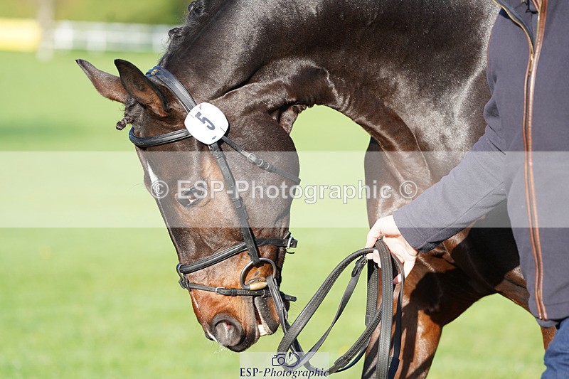 241026-100216-11561 - 005-Matthew.Heath-DIEGOS.ROSE