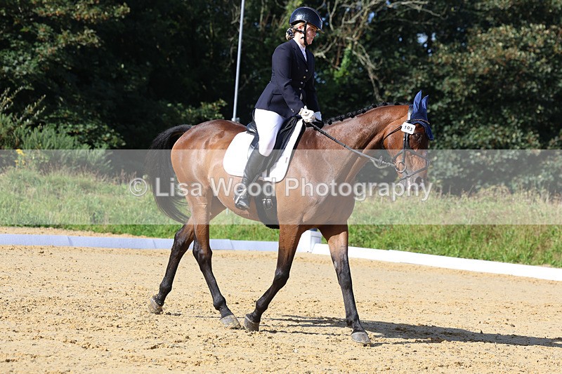 3E7A2575 - Class 1: Intro 4 2024 section A