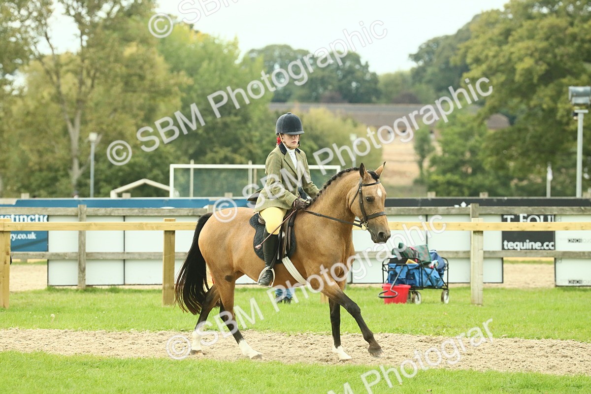 SBM_73965 - S 61 - Show Pony & Show Hunter Pony Ridden