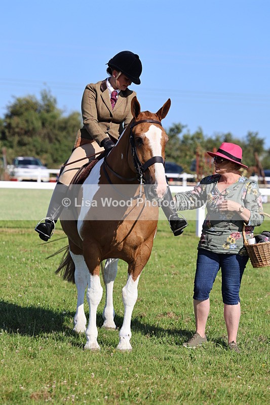 IMG_1453 - Class 29:  Ridden Native/Trad Coloured Horse