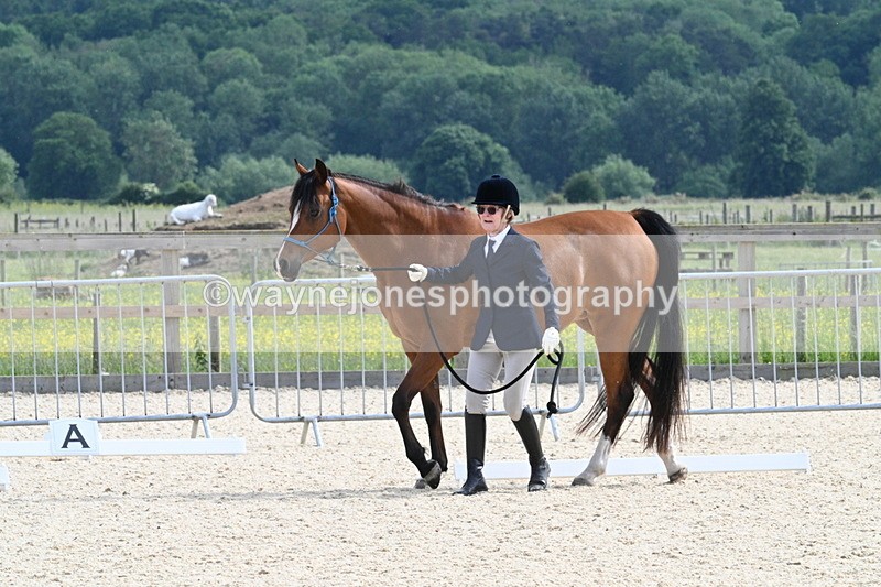 WJ7_8189 - Time 16:10 to 16:25