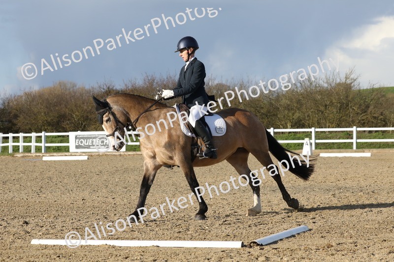 20260314-5879 - DR8 - Elementary 2