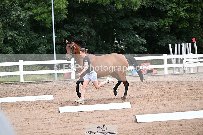 250716-131223-00399 - Trot Up 12.30 to 1.30