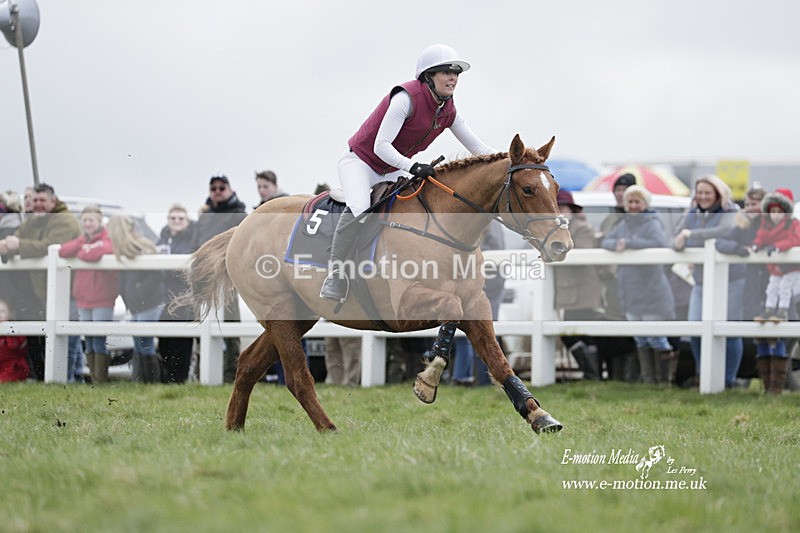 PtP 260323 0275 - New Forest Hounds Point-to-Point Larkhill 26/03/23