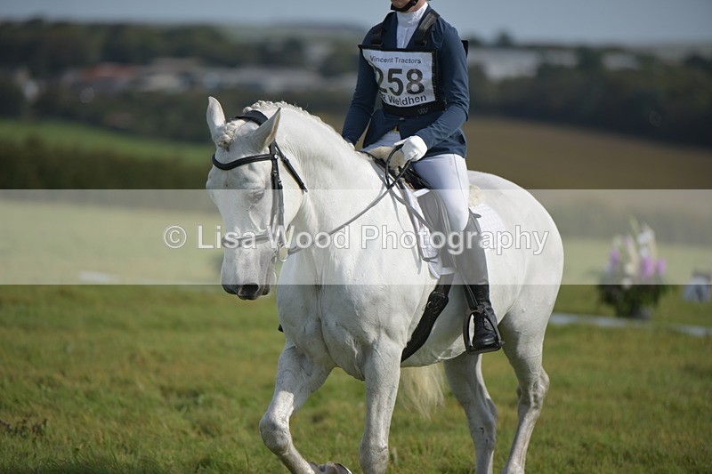 RAY_7692 - Class 2B: Trekenning Open: Dressage