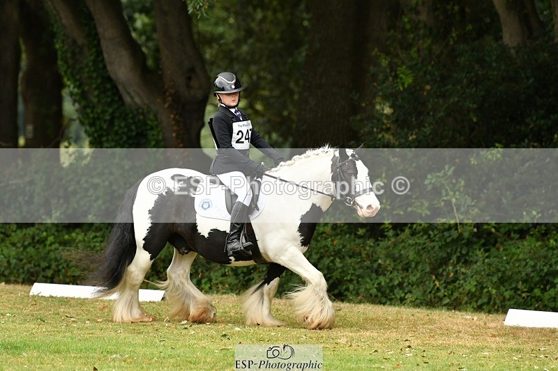 250820A-122601-05599 - 12 to 13.00