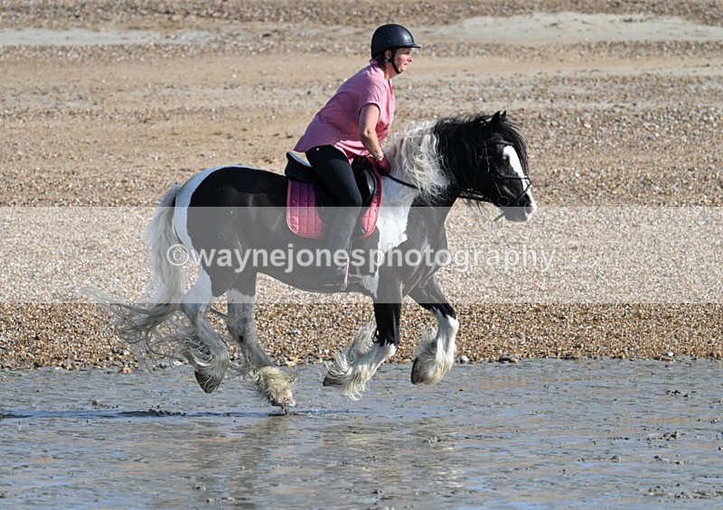 WJ7_3836 - Kellie & Churchill ... do Hayling Island 25-08-24