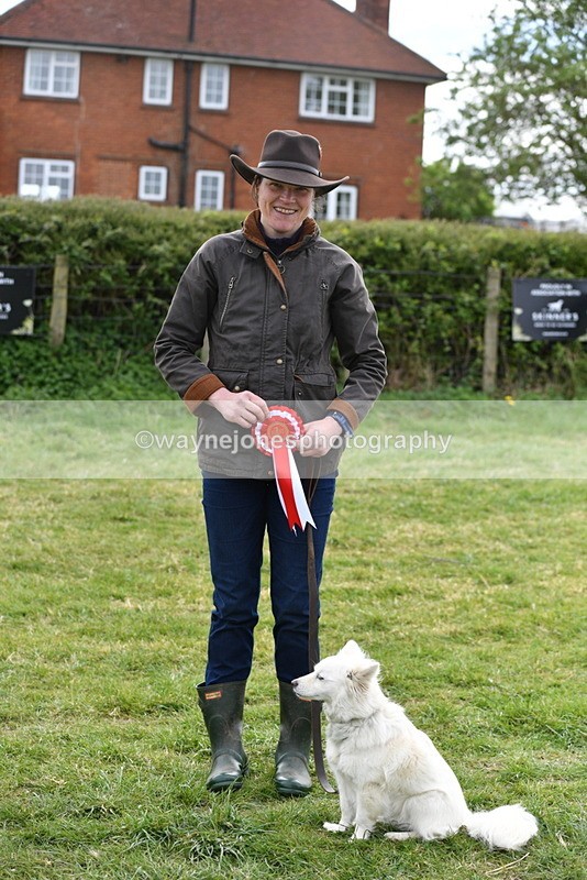 WJ5_9389 - Class 1 Best Cross Breed / Heniz 57