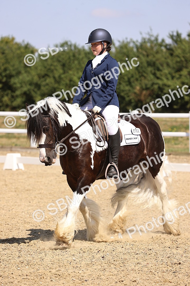 SBM_003746 - Intro 2