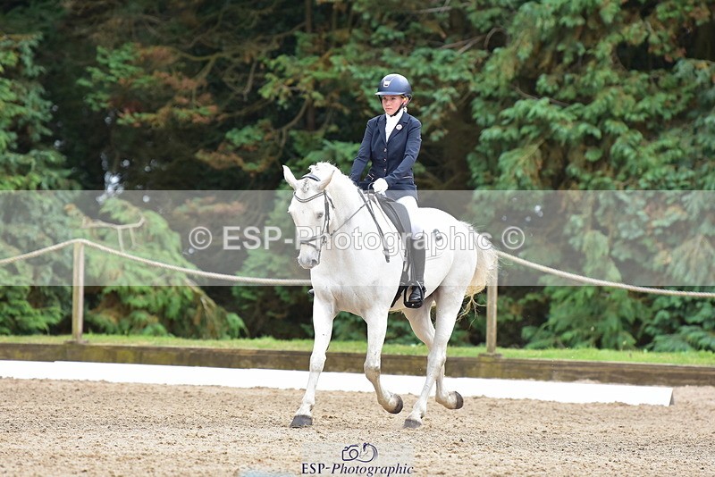 250719A-153724-06904 - 024-Neve.Moran-Clareville.Golden.Knight