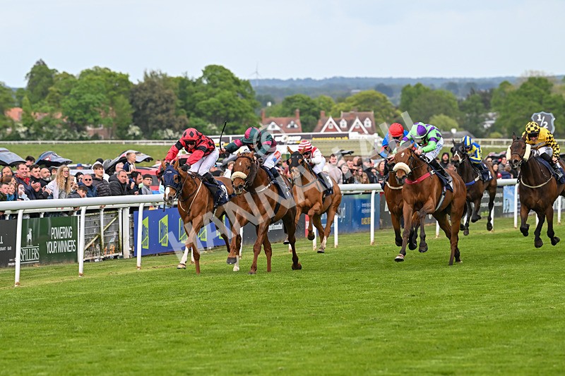 050525-Race 6-Copper And Five-5219 - Race 6