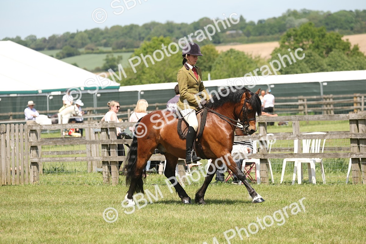 SBM_06891 - Class 26-30 - Mountain and Moorland Ridden