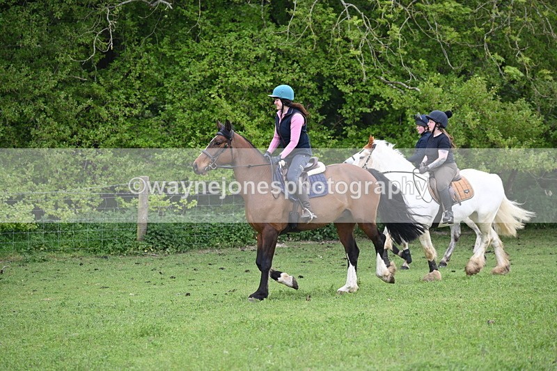 WJ6_3101 - A camera