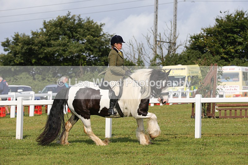 1X9A3349 - Class 28: Ridden Native/Trad Coloured Pony