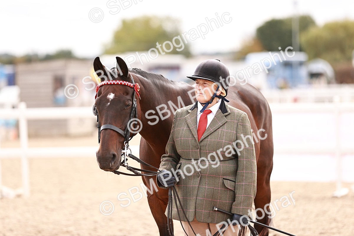 SBM_16335 - Class 413 - Best Condition - Adult