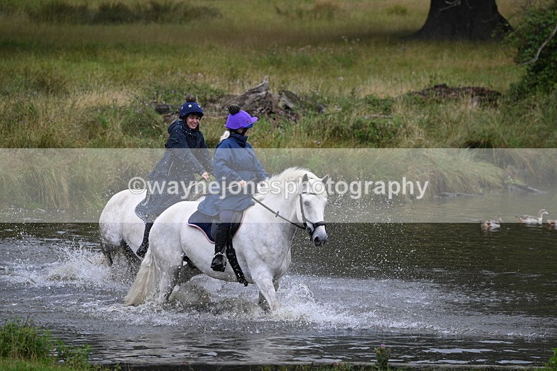 WJ7_6714 - Time at Water 09:30 to 10:00