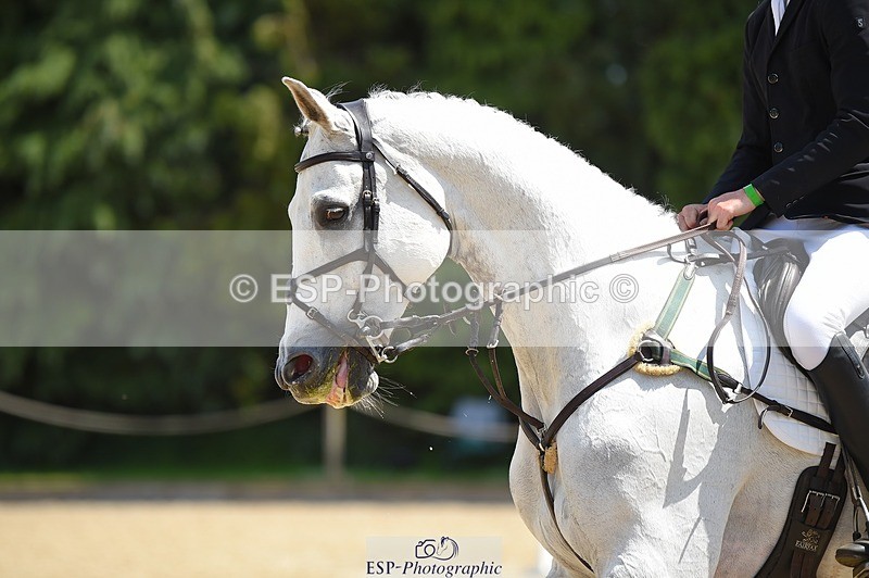 230528-115510-15444 - 313-LOUISBOURG_C-Jack_Whiteford-SUNTrotUp+SJ