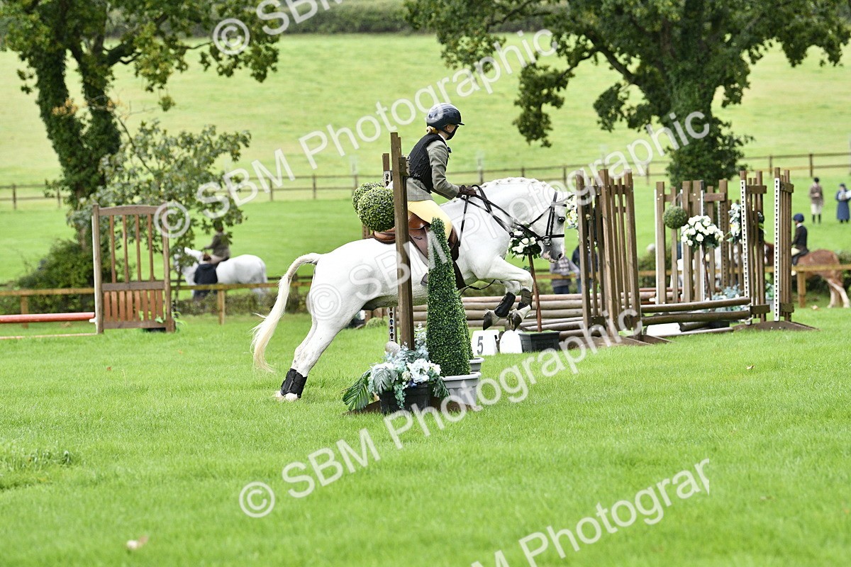 SBM_35473 - S30 - Nursery Stakes Working Hunter Pony