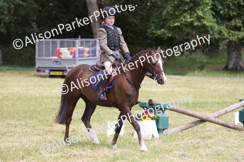 20260614-2862 - Class 22 - Open Working Hunter