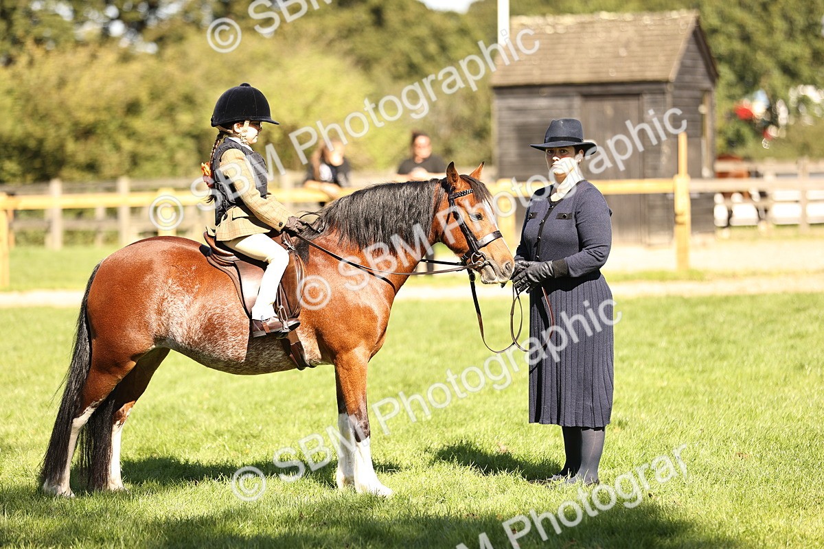 SBM_19266 - S3 - TSR Ridden Pony Showing