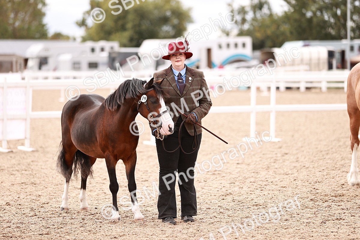 SBM_16342 - Class 413 - Best Condition - Adult