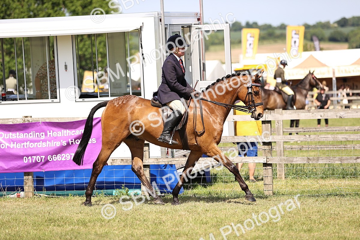 SBM_17974 - Class 81-83 - TSR Ridden Amateur of the Year - Horses