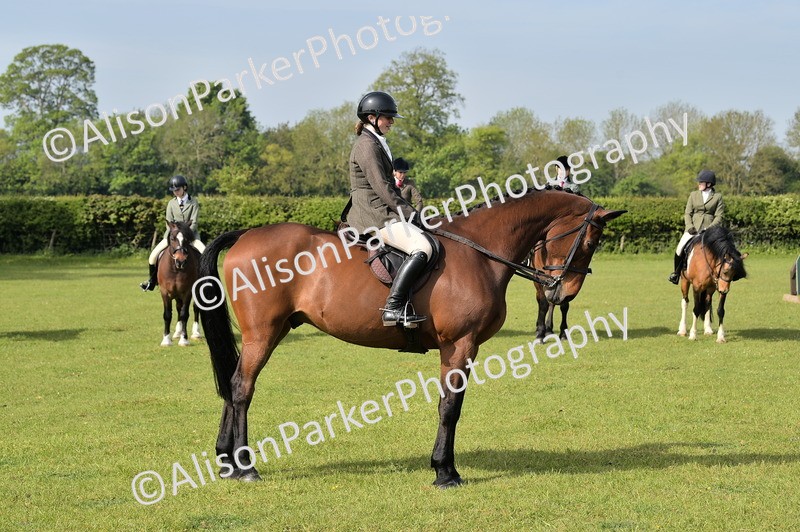 20260426-0926 - Class 18 - Novice Showing